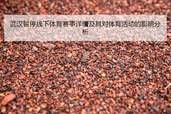 武汉暂停线下体育赛事详情及其对体育活动的影响分析
